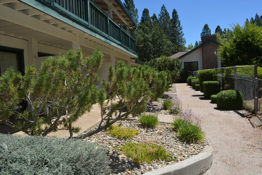 Pioneer Inn & Suites Volcano エクステリア 写真